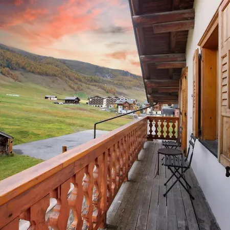 Lorella Livigno